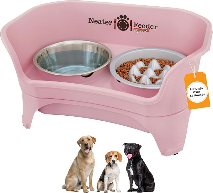 Elevated No-Spill Dog Bowl Set – Raised Feeding Station with Stainless Steel Food & Water Bowls