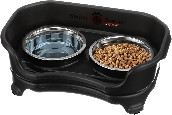 Elevated No-Spill Dog Bowl Set – Raised Feeding Station with Stainless Steel Food & Water Bowls