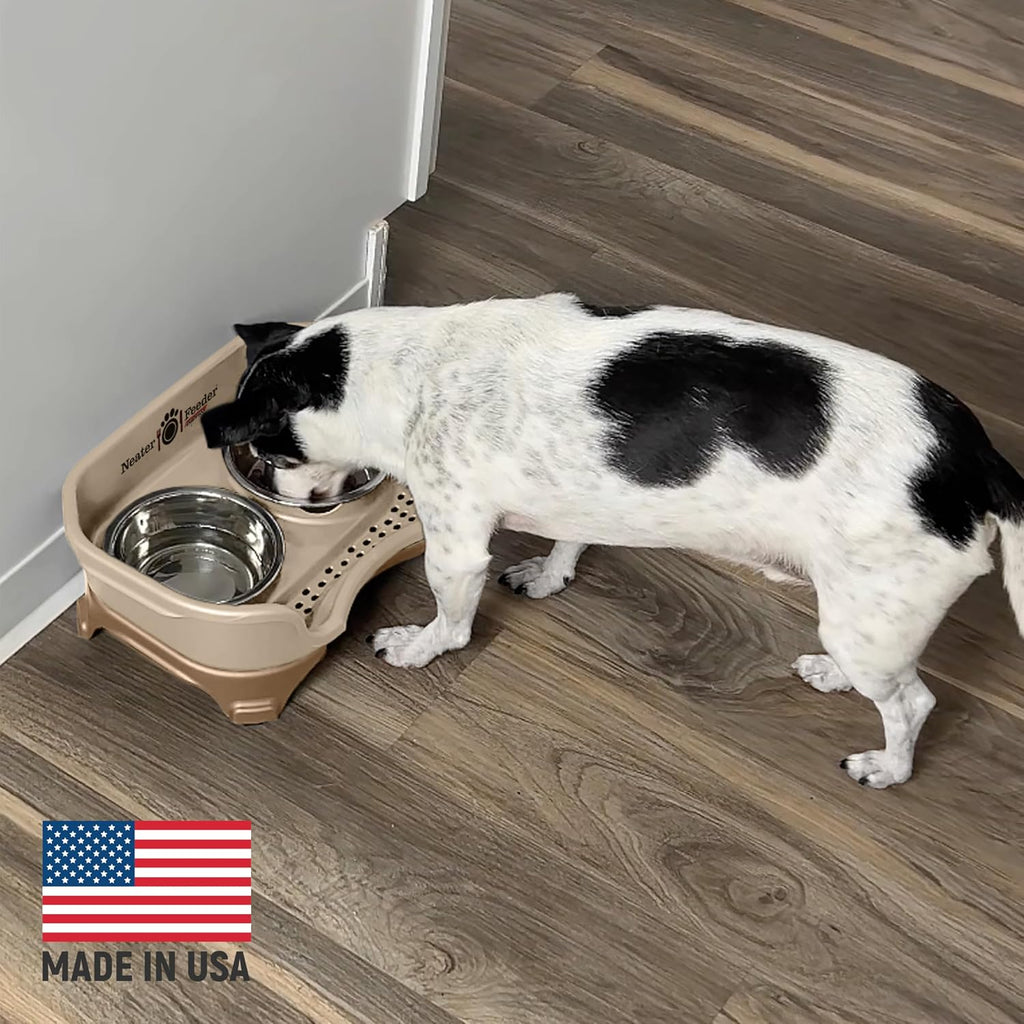 Elevated No-Spill Dog Bowl Set – Raised Feeding Station with Stainless Steel Food & Water Bowls