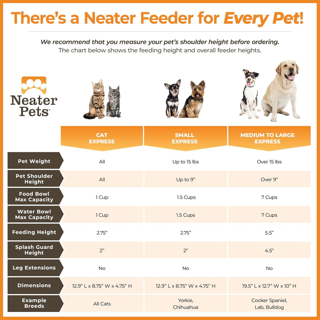 Elevated No-Spill Dog Bowl Set – Raised Feeding Station with Stainless Steel Food & Water Bowls