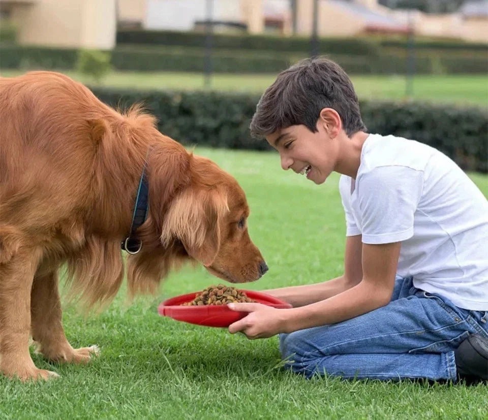 Large Soft Dog Frisbee – Flexible Flying Disc for Fetch, Chewing & Outdoor Play