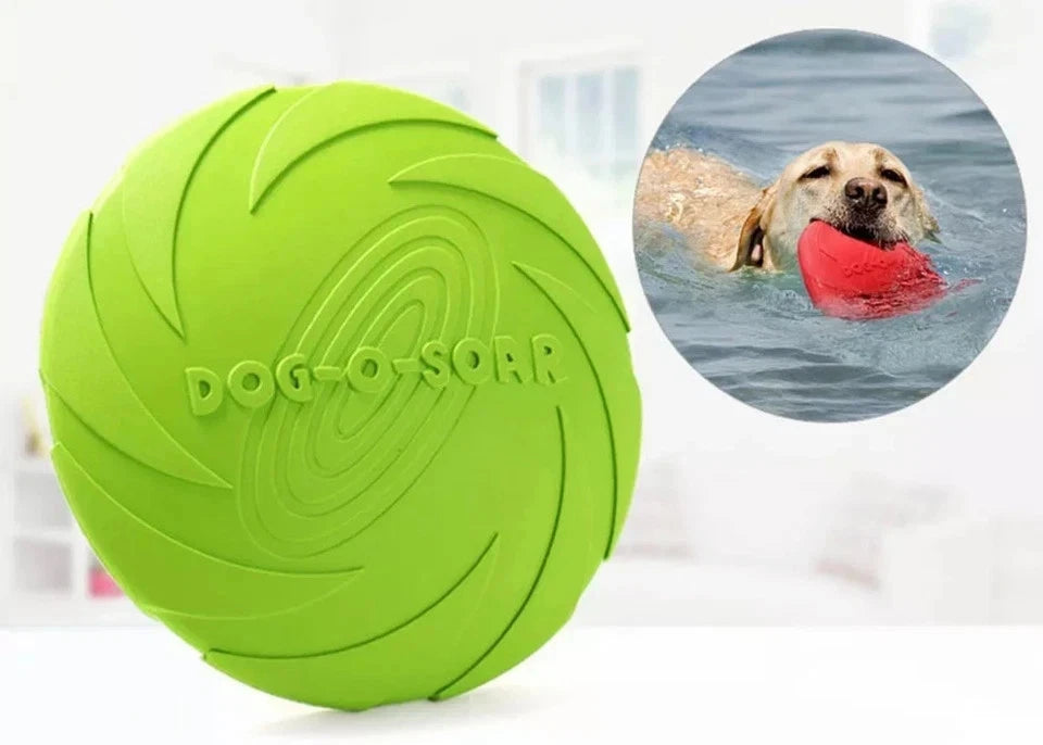 Large Soft Dog Frisbee – Flexible Flying Disc for Fetch, Chewing & Outdoor Play