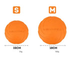 Large Soft Dog Frisbee – Flexible Flying Disc for Fetch, Chewing & Outdoor Play