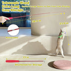 Interactive Cat Wand Toy Set – Retractable Teaser with Feather Refills for Indoor Cats