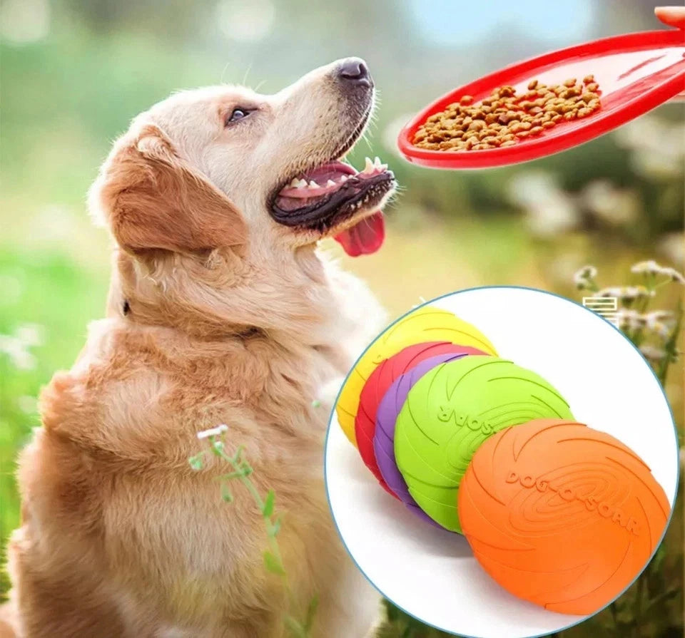 Large Soft Dog Frisbee – Flexible Flying Disc for Fetch, Chewing & Outdoor Play