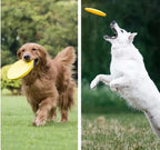 Large Soft Dog Frisbee – Flexible Flying Disc for Fetch, Chewing & Outdoor Play