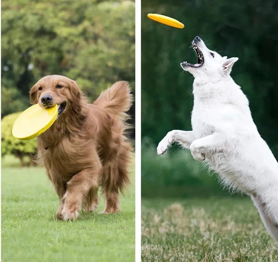 Large Soft Dog Frisbee – Flexible Flying Disc for Fetch, Chewing & Outdoor Play