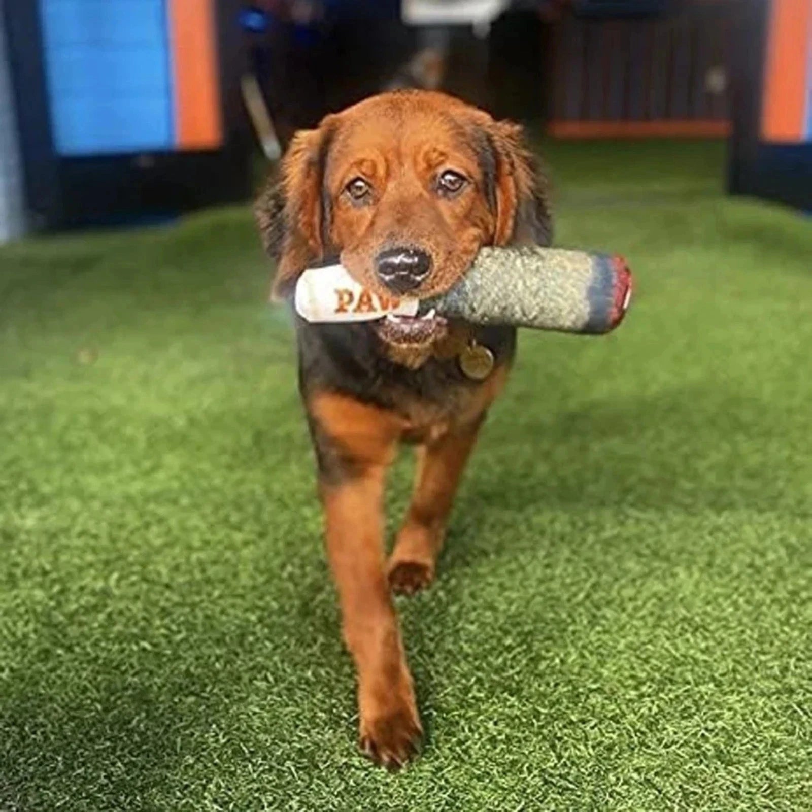 Indestructible Dog Chew Toy – Tough Squeaky Toy for Aggressive Chewers