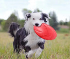 Large Soft Dog Frisbee – Flexible Flying Disc for Fetch, Chewing & Outdoor Play